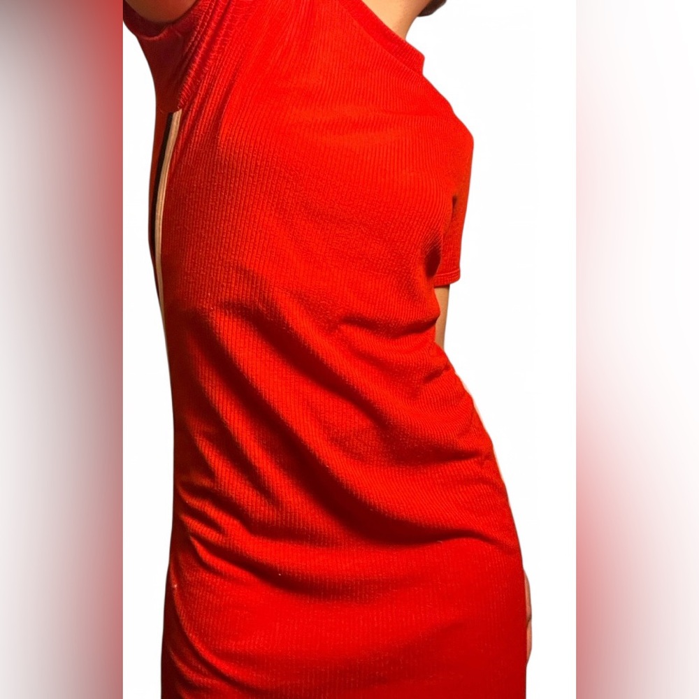 Bluenotes red shirt dress